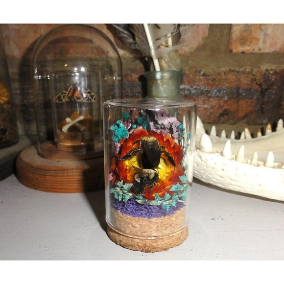 Carpenter Bee on Sunset Flower Oddity jar curiosity Dome insect taxidermy goth - Picture 5 of 16